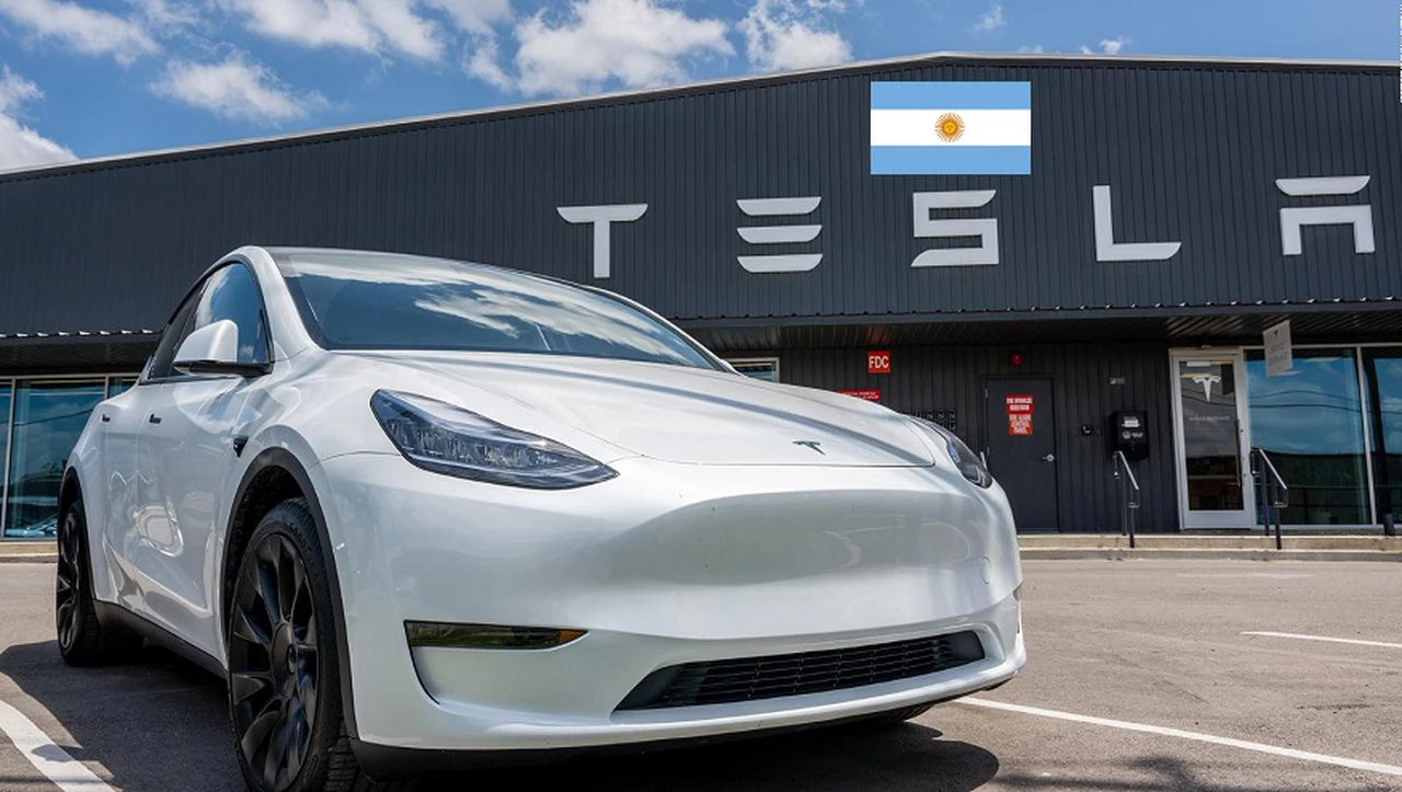 Los autos eléctricos Tesla llegan a la Argentina: quién es su importador y qué modelos se podrán comprar