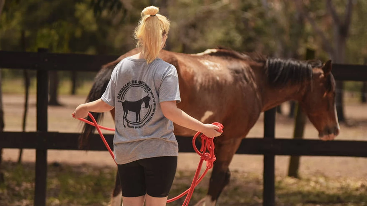 Maltrato de caballos en Argentina: qué dice la ley y qué se puede hacer para ayudar