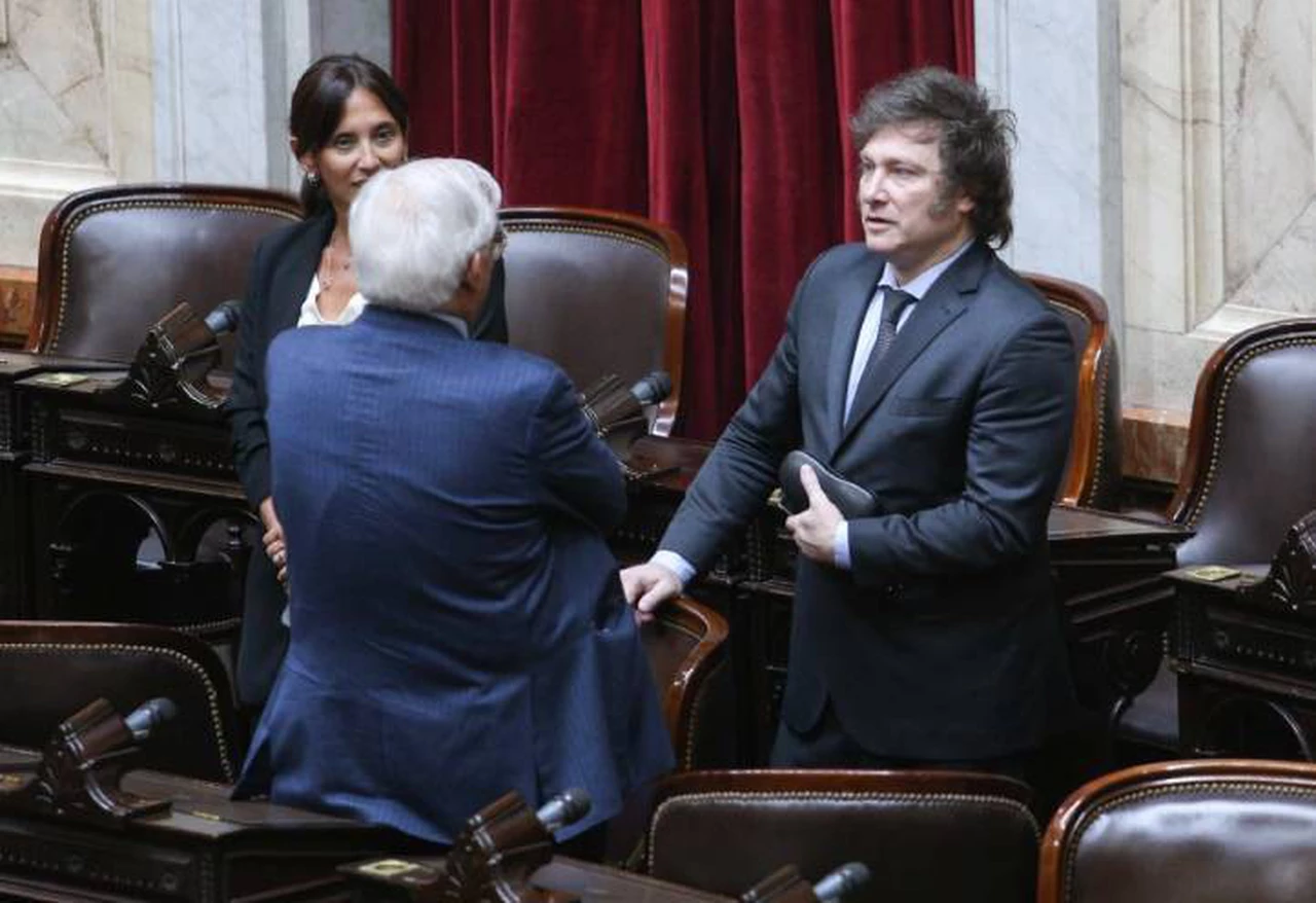 Javier Milei, en el Congreso: fue proclamado por la Asamblea Legislativa como Presidente electo