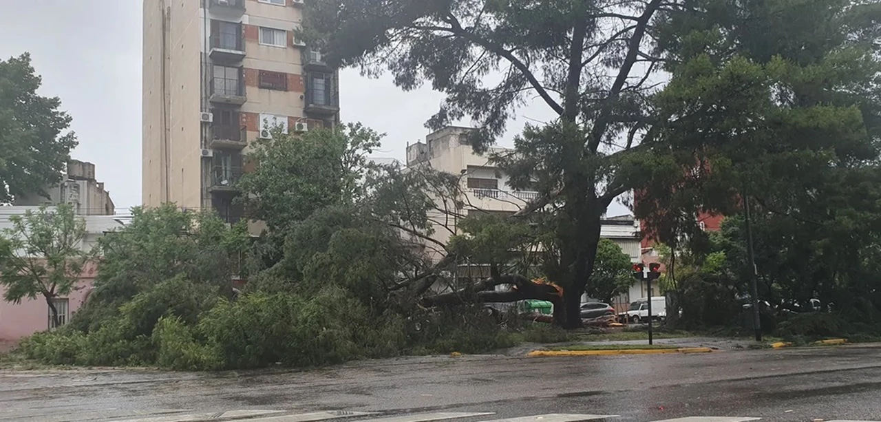 Temporal de lluvia y viento en la Ciudad y el Conurbano: inundaciones, destrozos y caídas de árboles