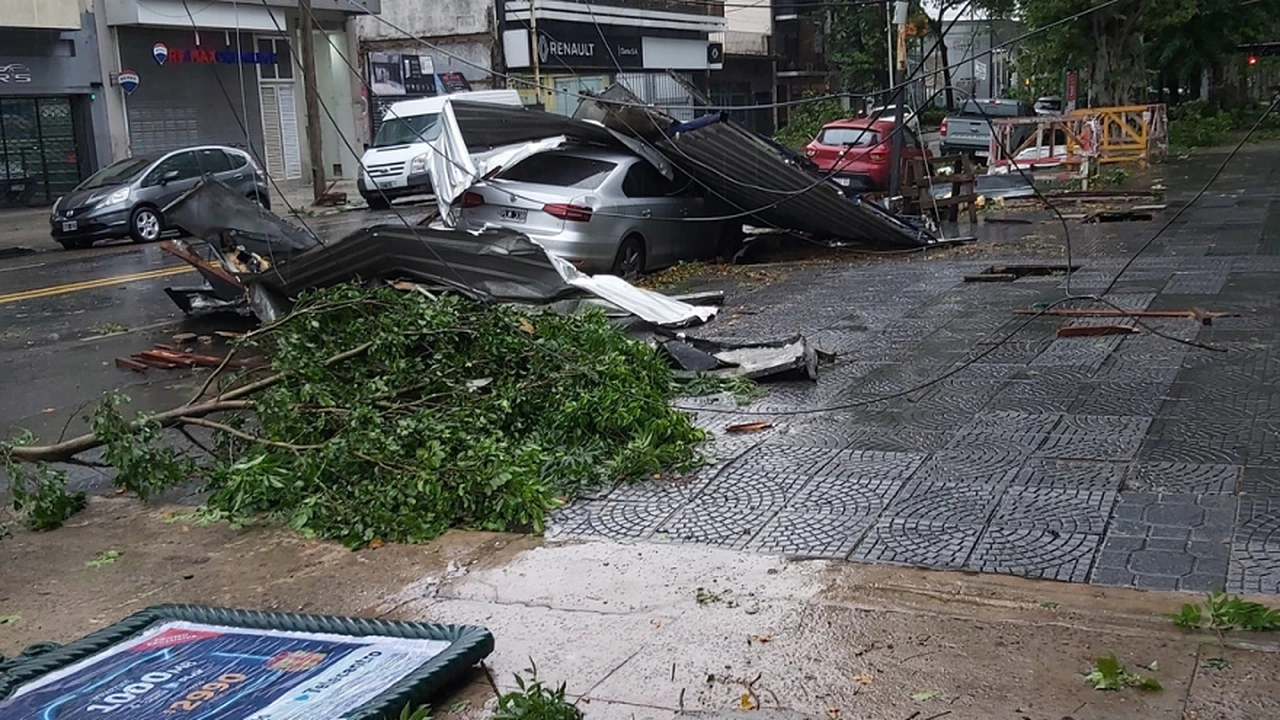 ¿Un árbol aplastó tu auto por el temporal?: qué seguro cubre todos los daños