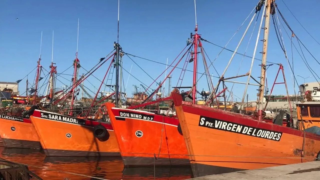 Polémica por la actividad pesquera: el Gobierno está dispuesto a negociar desregulaciones en la Ley ómnibus