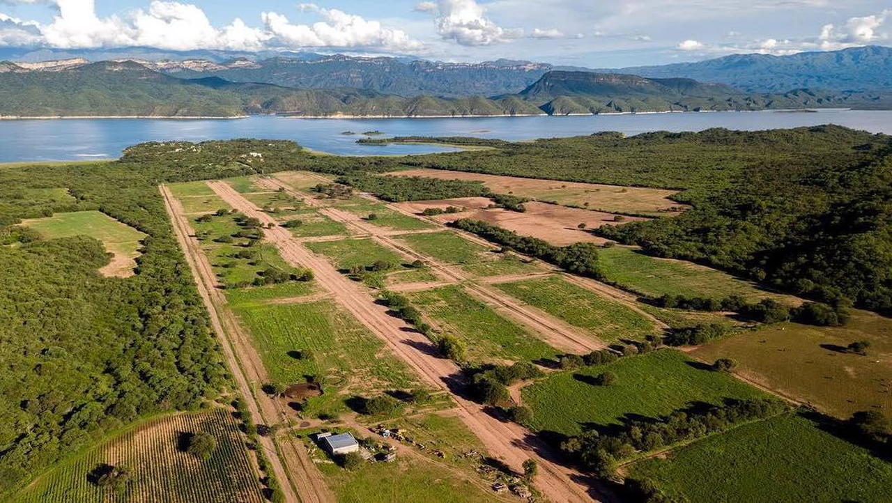 Ley de Tierras: la Justicia Federal de La Plata da vía libre a la venta de terrenos a extranjeros