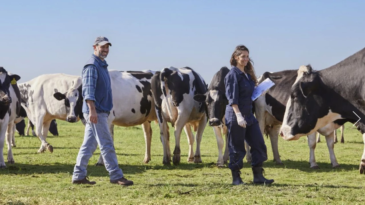 Mastellone Hnos. destaca el rol estratégico de los productores y tamberos dentro de la cadena láctea