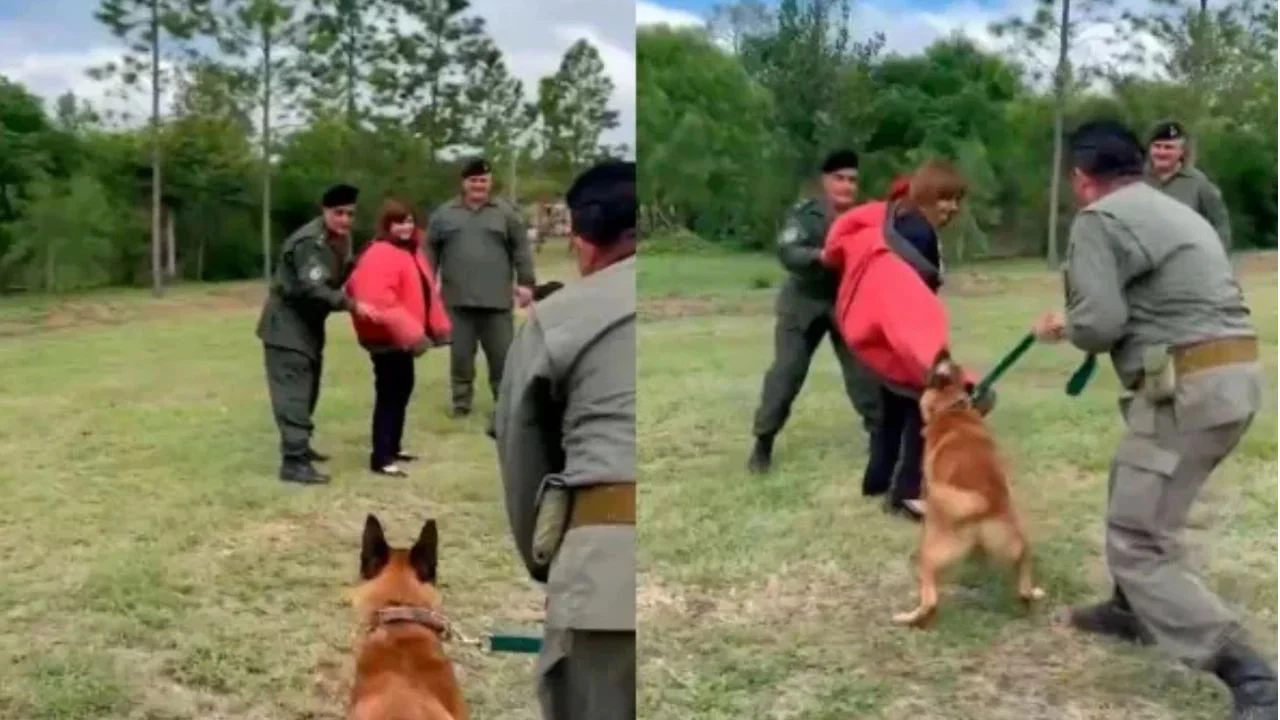 VIDEO | El mal momento que vivió Patricia Bullrich cuando la atacó un perro de la policía en una demostración