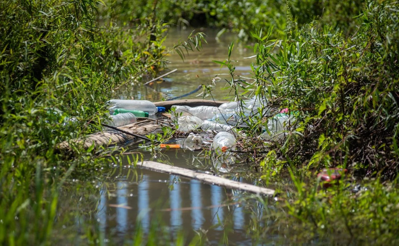 Paraná, un río de plástico: cuál es la responsabilidad de empresas como Coca Cola y Arcor