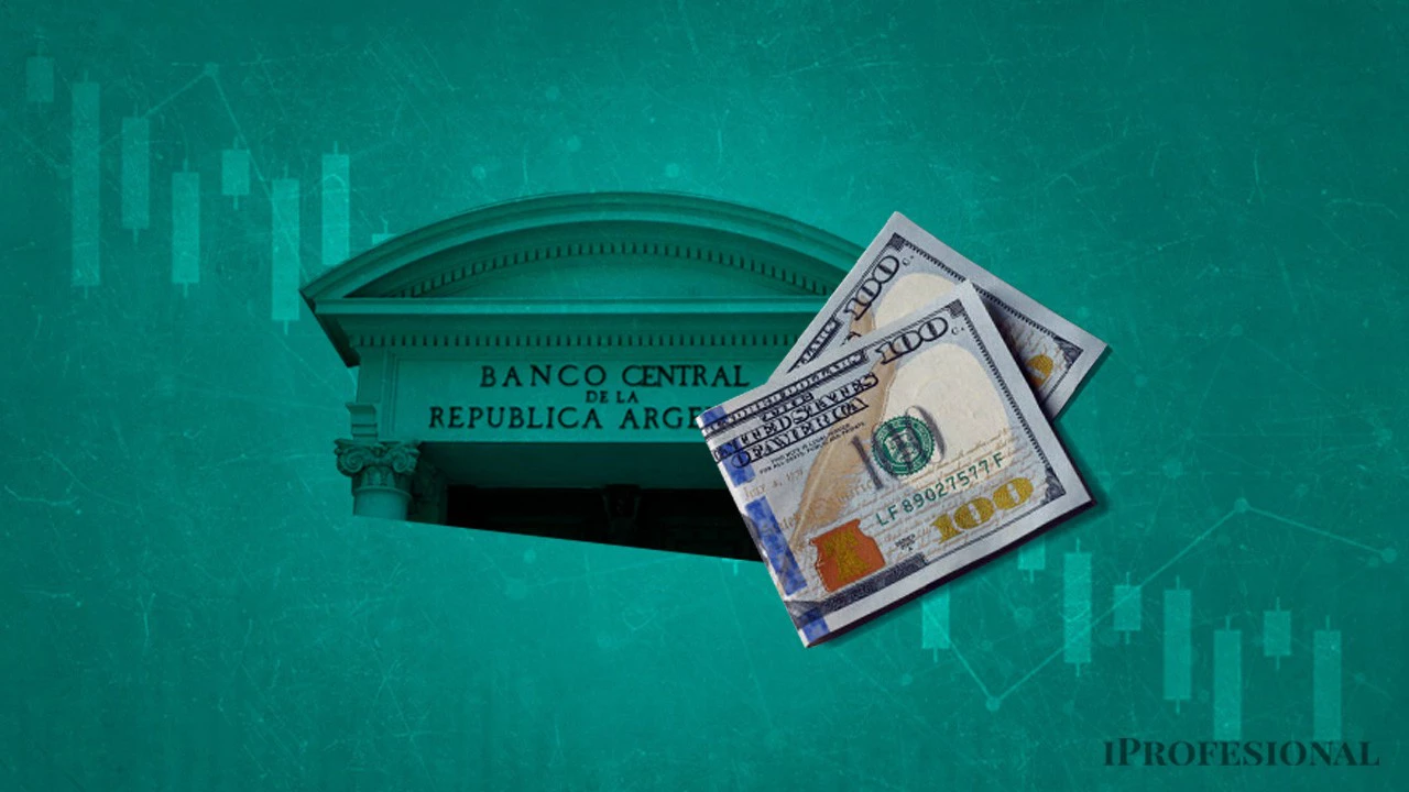 El Banco Central retomó la racha positiva: ya compró casi $s14.000 millones en la era Milei