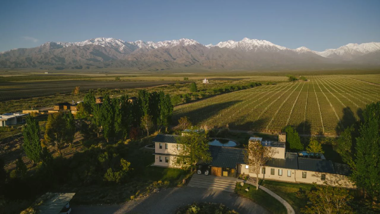 Vivir frente a la Cordillera y con viñedo propio: cuánto vale una propiedad en un barrio cerrado de Mendoza