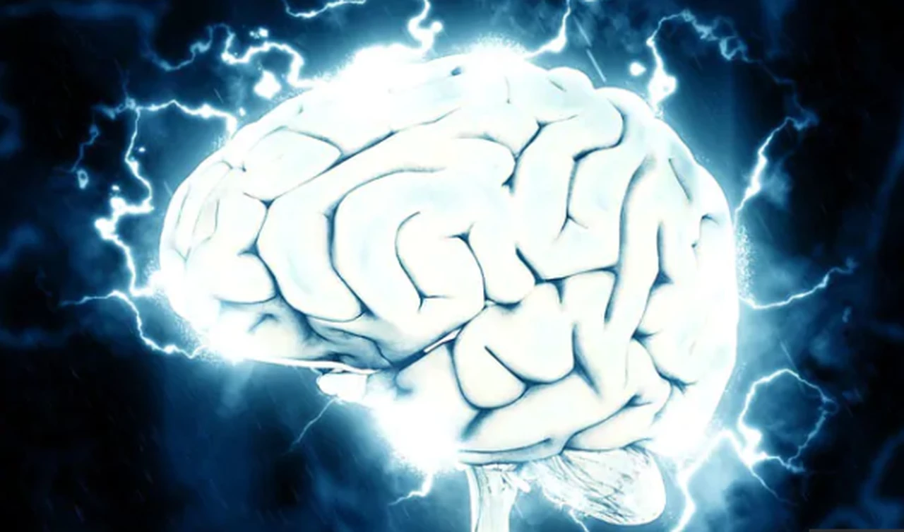 "Marcapasos cerebral" busca parar síntomas del Parkinson y de la epilepsia