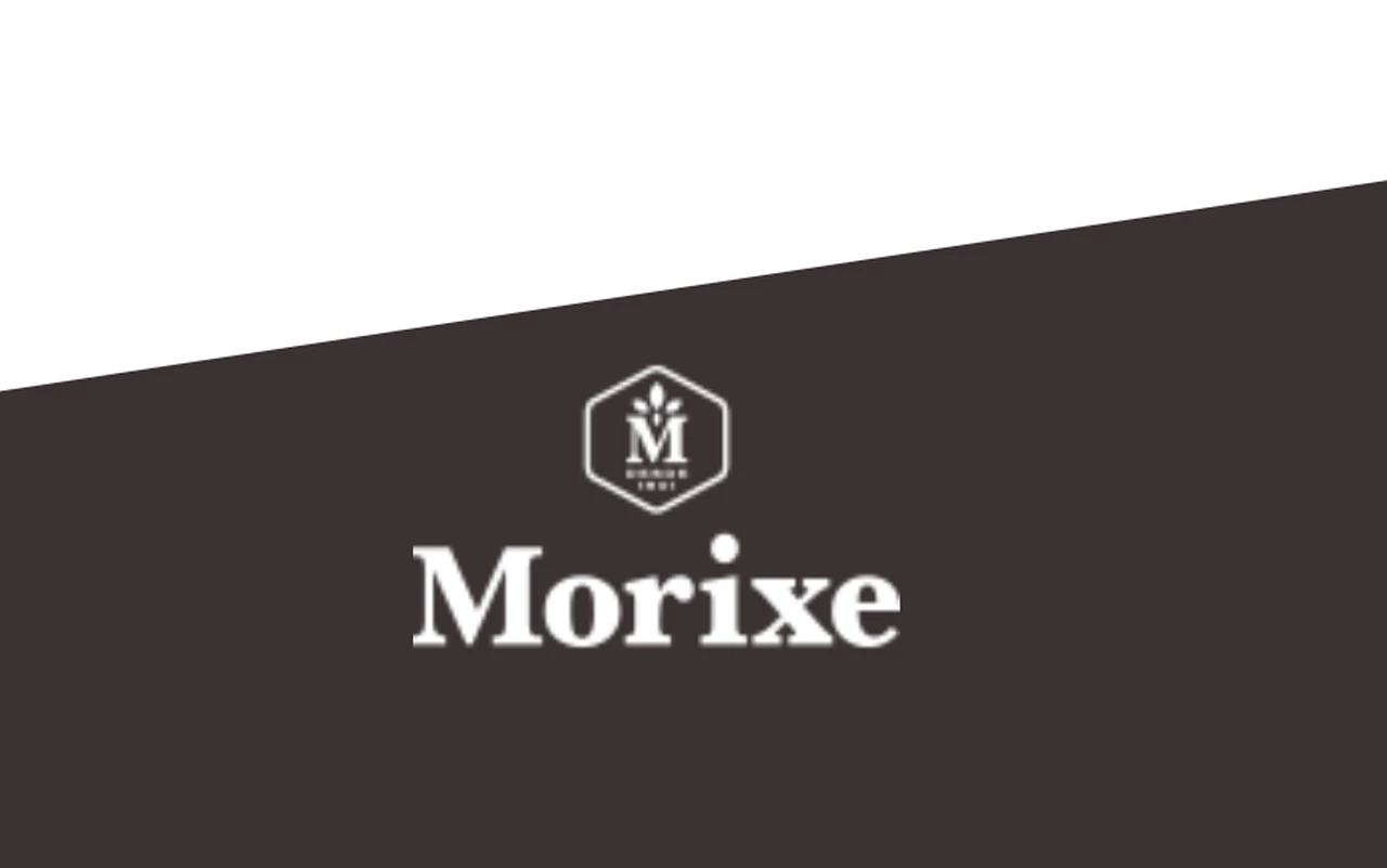 Morixe: ventas triplicadas y ganancias por $ 35,7 millones