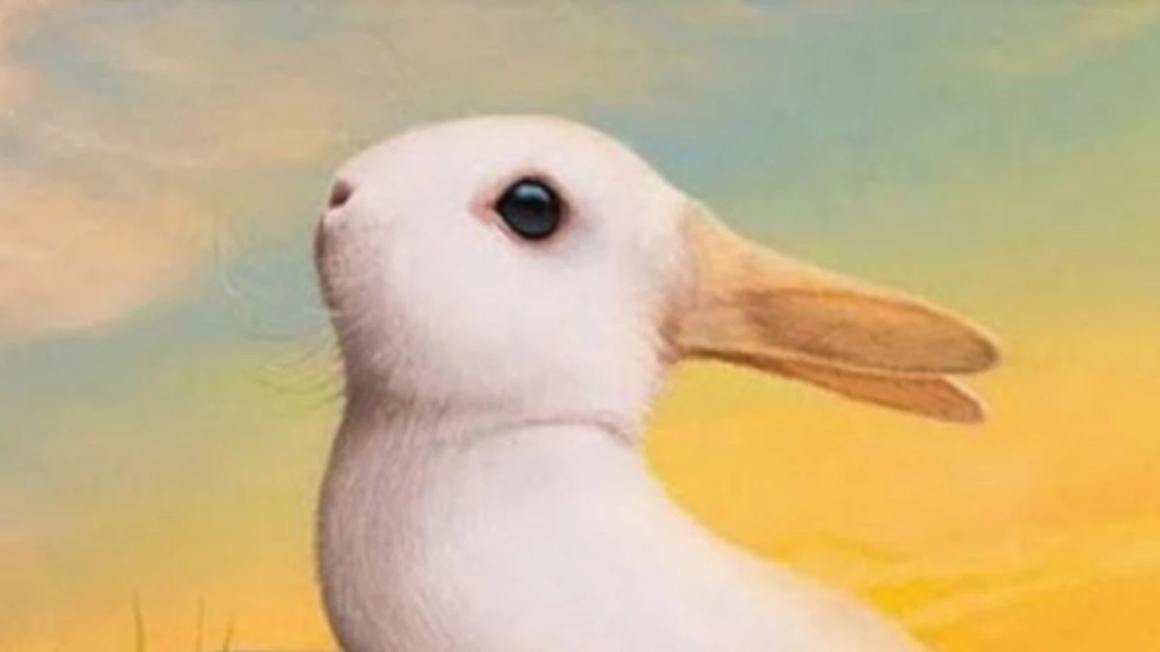 ¿Pato o conejo?: el animal que veas primero define cómo enfrentarás el 2021