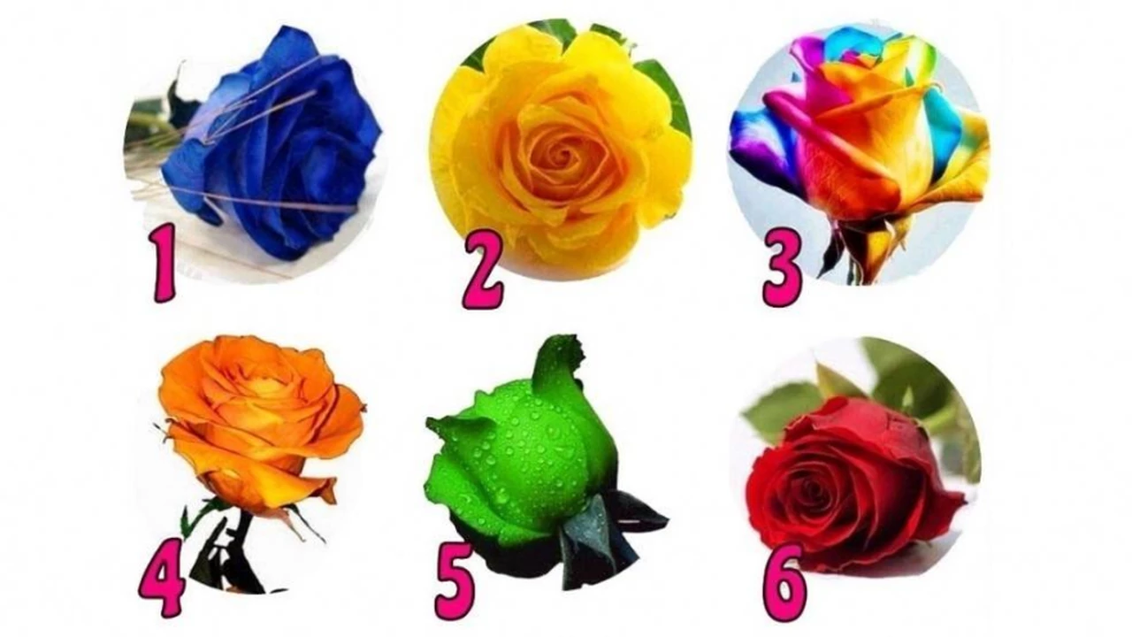 Test de las rosas: elegí una y descubrí qué dice sobre tu personalidad
