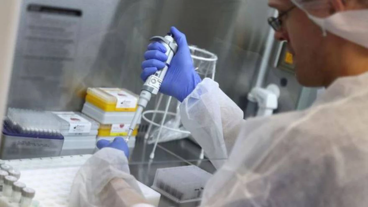 Un grupo de científicos descubrió una variante uruguaya del coronavirus: qué se sabe hasta el momento