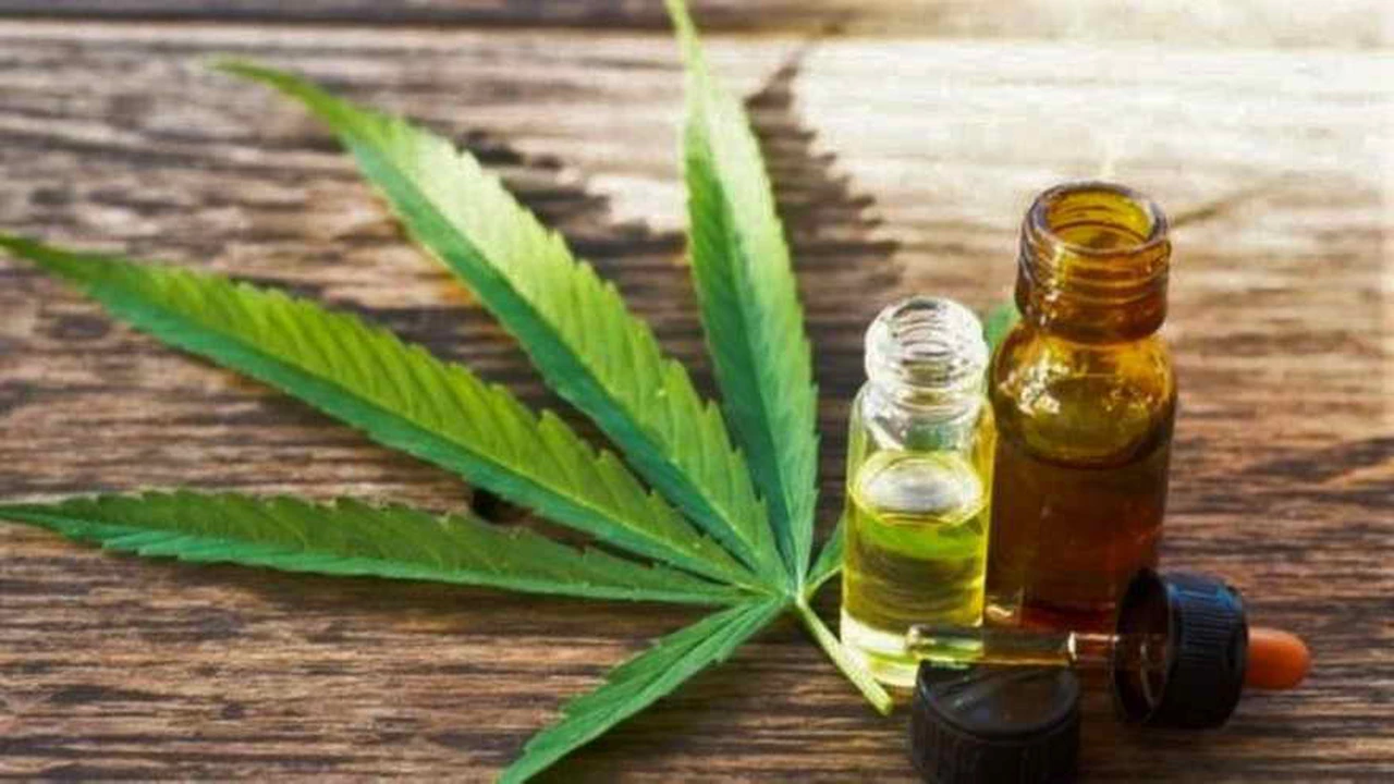 Cannabis medicinal: Kulfas reconoce que crece la industria en el país y admite que apoya esa tendencia