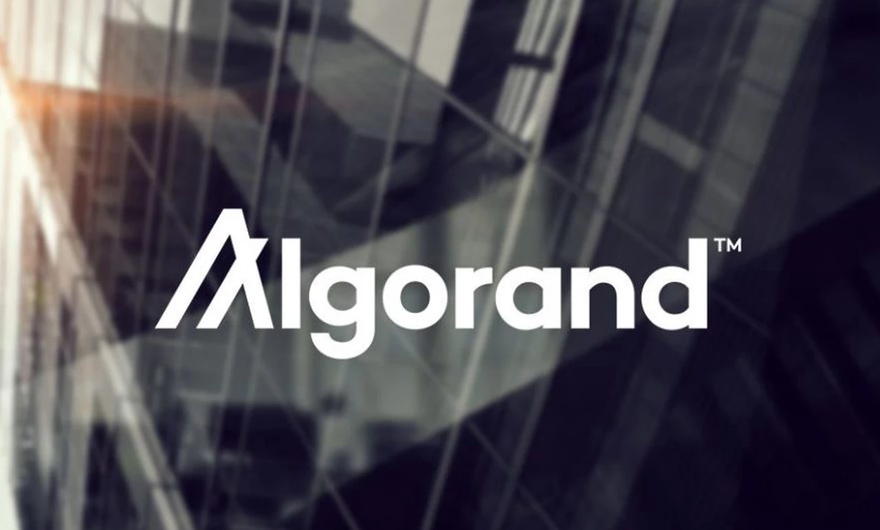 ¿Por qué Algorand se convirtió en la plataforma referente de los contratos inteligentes?