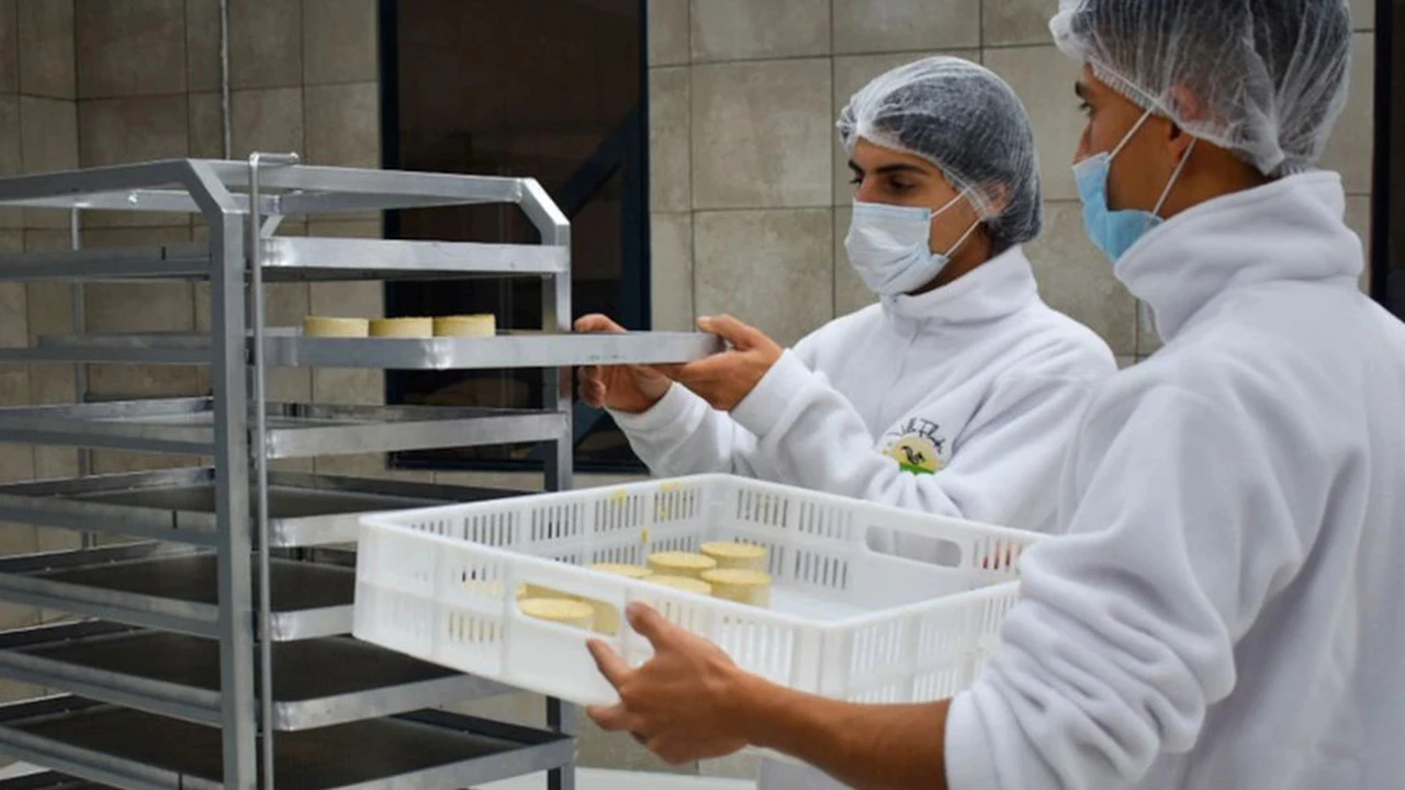Argentina inaugura la primera fábrica de "quesos 4.0" de Latinomérica: en qué consiste el proyecto