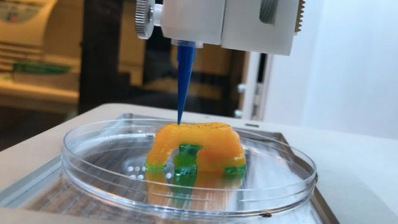 El futuro de la medicina: te mostramos cómo es la impresora 3D que desarrolla órganos y tejido humano