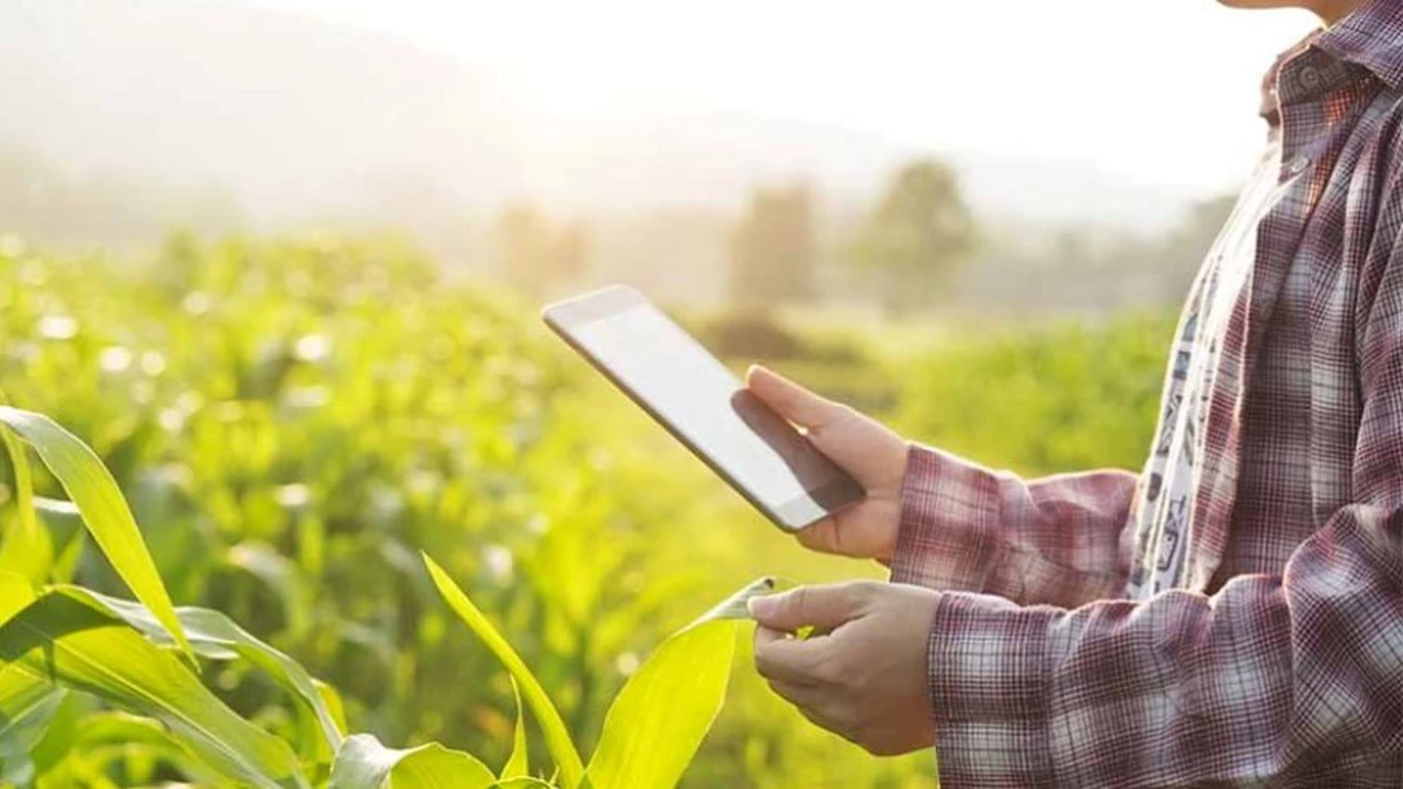 IBM Research se asocia con empresa de tecnología agrícola para impulsar los agronegocios con Blockchain