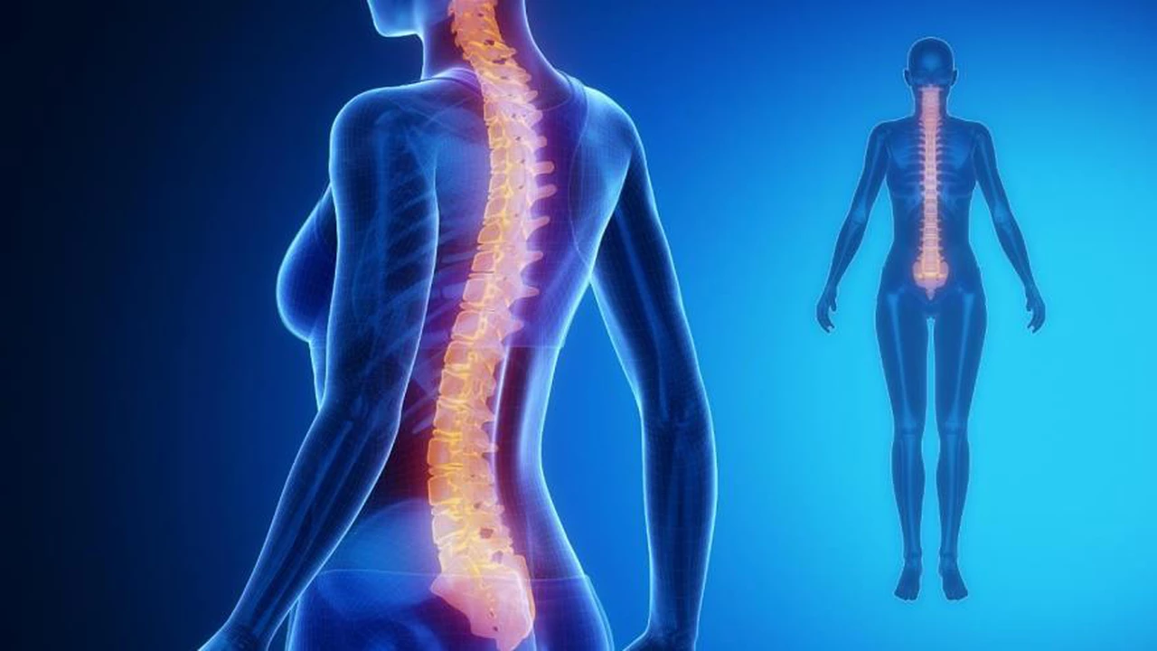 Revolución 3D: así se reparan lesiones en la médula espinal