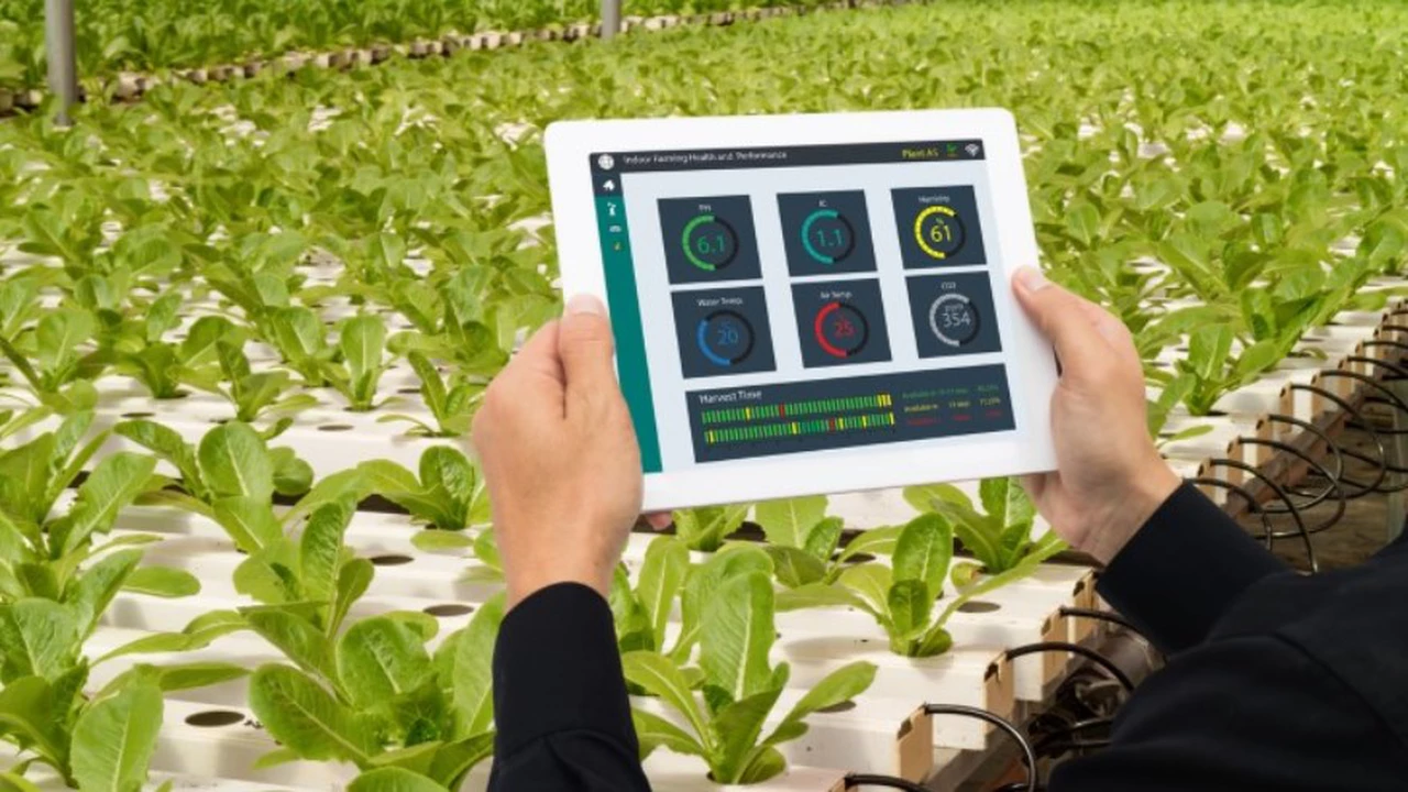 Estas cinco tecnologías transformarán el agro, la comida y la cadena de suministro