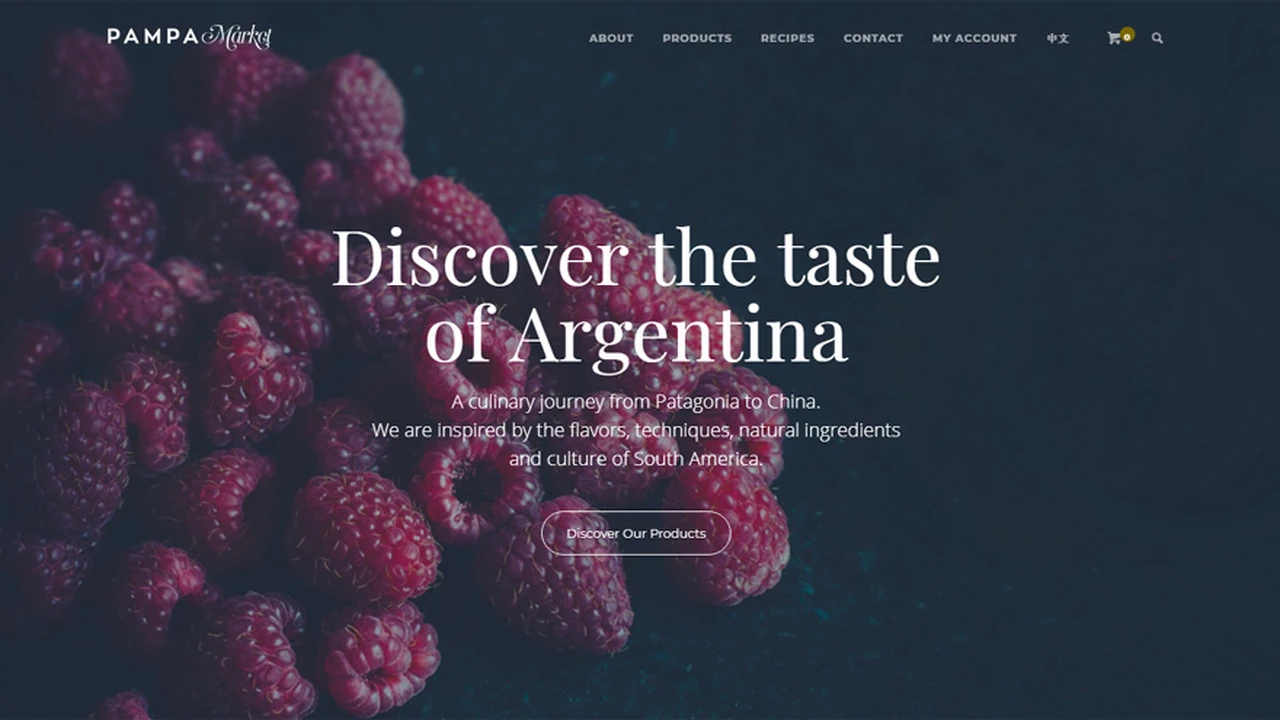 Presentan en China la primera plataforma de venta online de productos argentinos