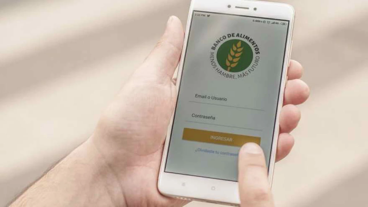 Donaciones: el Banco de Alimentos lanzó una app que conecta empresas con organizaciones sociales