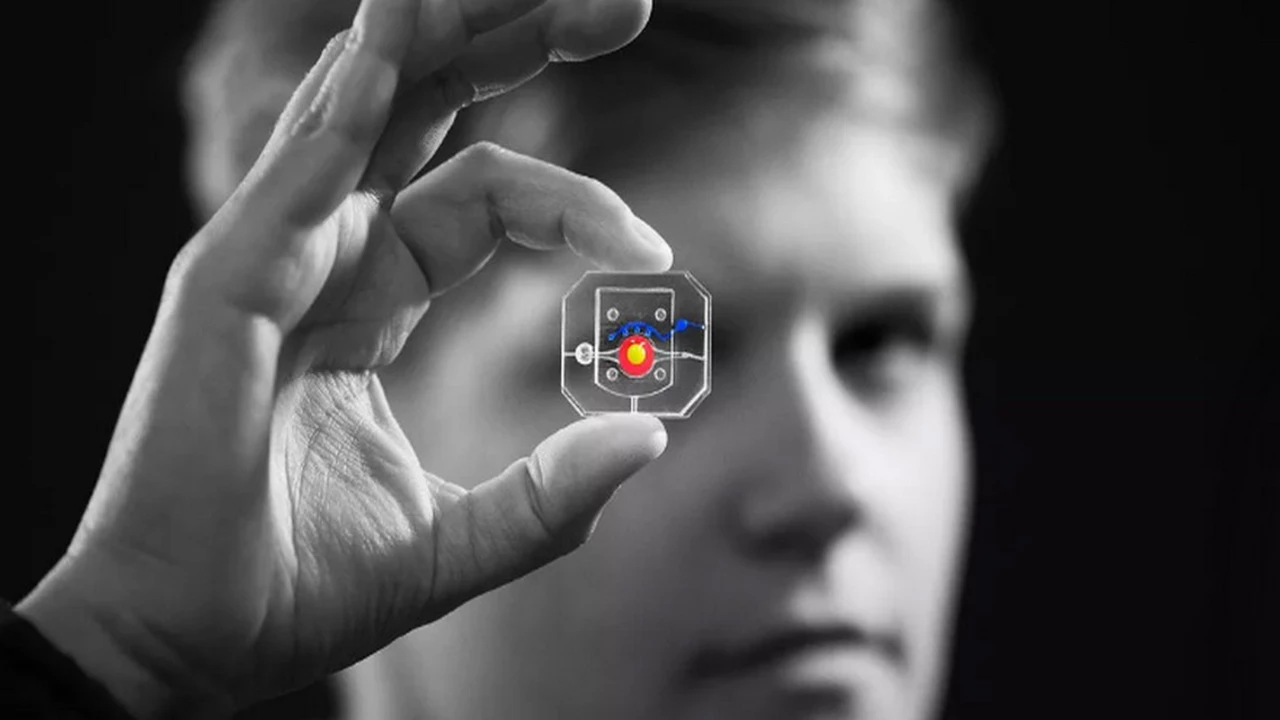 Impresionante logro científico: crean réplica de ojo humano en un chip del tamaño de una moneda