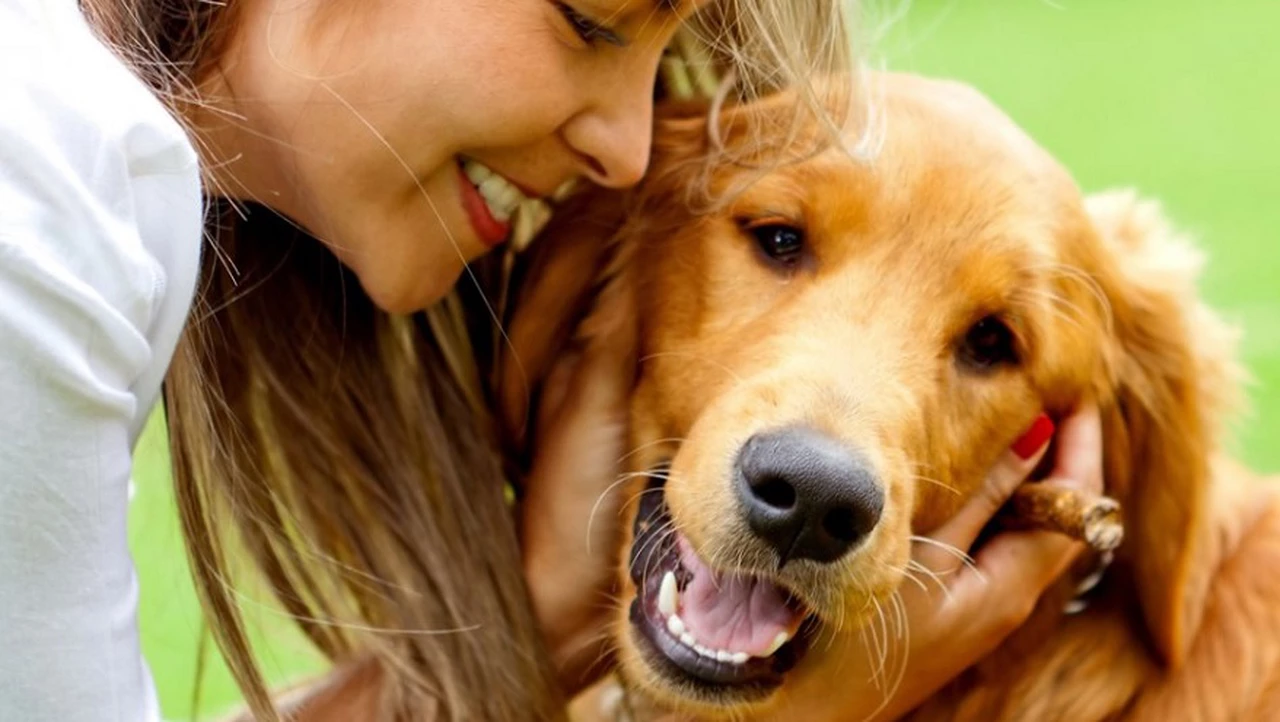 Esta app promete mejorar la calidad de vida de tu mascota: mirá cómo utiliza la tecnología para lograrlo