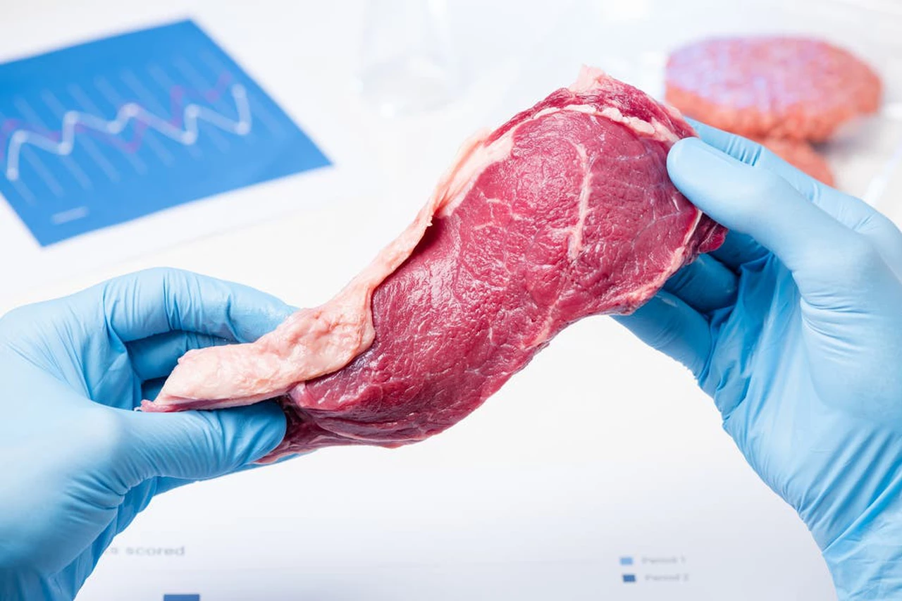 Asado "de laboratorio": así es la carne artificial que científicos de Harvard quieren exportar a todo el mundo