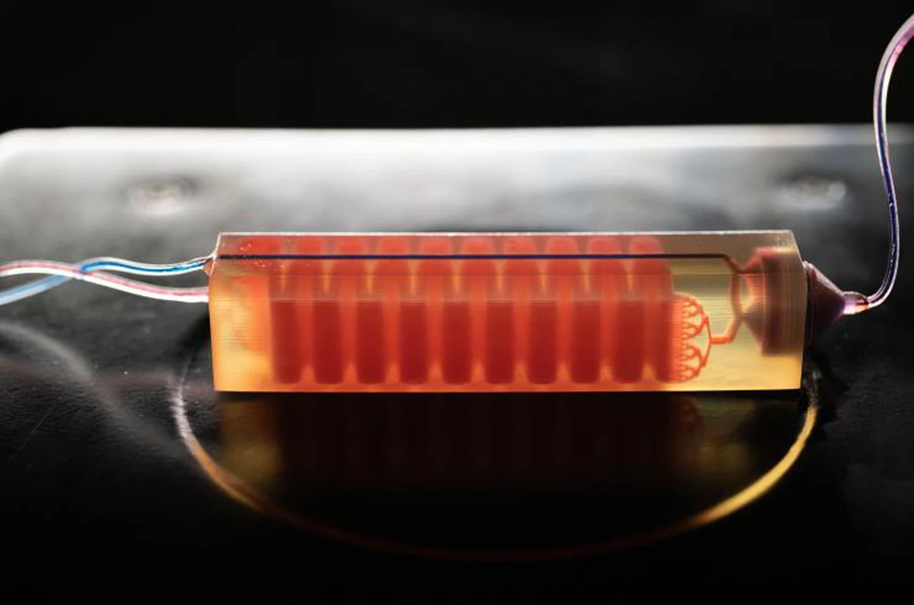 Impresión 3D para salvar vidas: crean un artefacto para detectar células cancerígenas en muestras de sangre