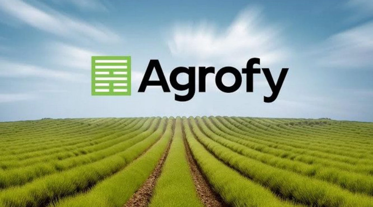Agrofy, el "Mercado Libre del Campo", recibió más de u$s1 millón de inversión: ¿será el próximo unicornio argentino?