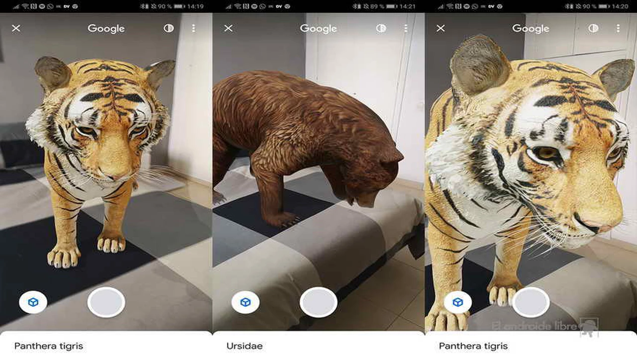 Realidad aumentada: cómo es la función de Google para ver un tiburón en 3D en el salón de tu casa