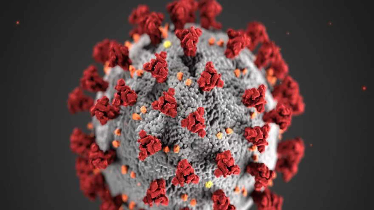 Coronavirus: cuanto mayor es la carga viral en el organismo, más es el daño generado en los órganos