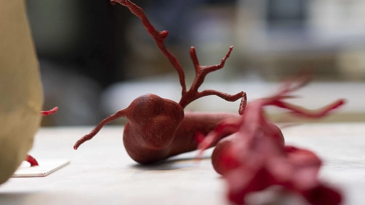 Medicina 4.0: esta universidad argentina entrena a cirujanos jóvenes con órganos impresos en 3D