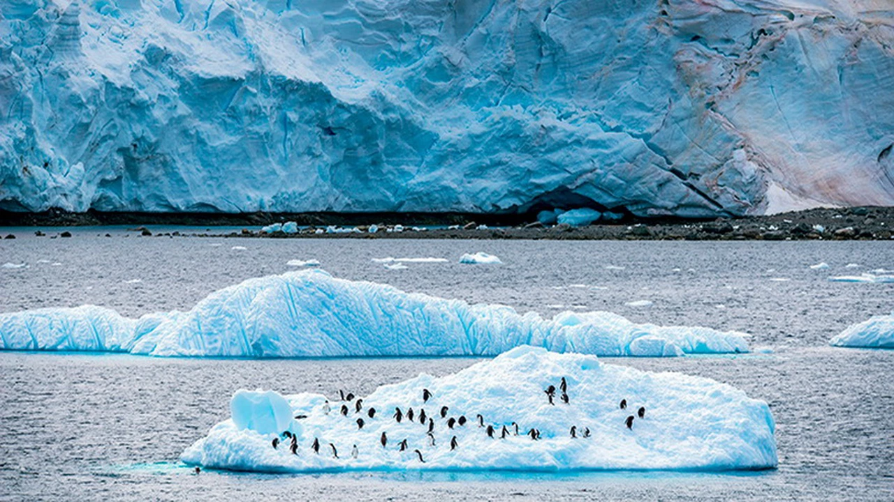 Catástrofe en ciernes: si se derrite la Antártida los océanos se elevarán 2,5 metros