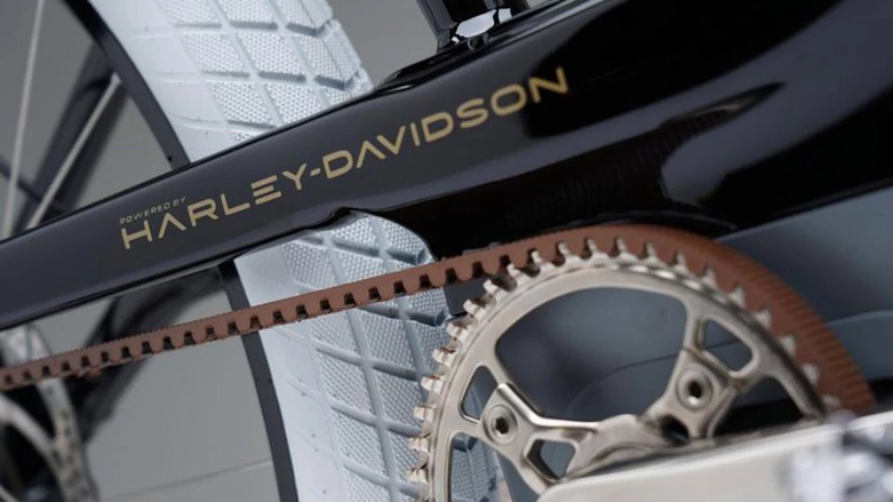 Harley Davidson sigue "la corriente": cómo son y cuánto cuestan sus lujosas bicicletas eléctricas