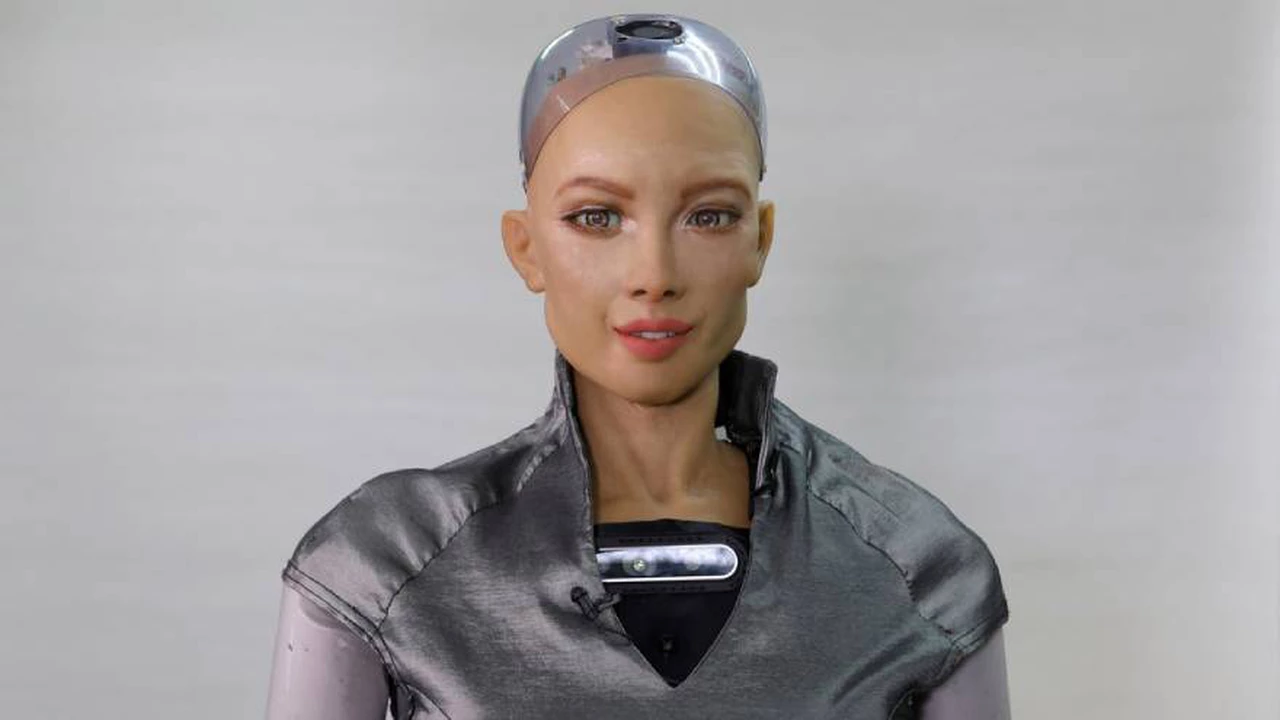 Increíble: crean "robots vivientes" capaces de reproducirse