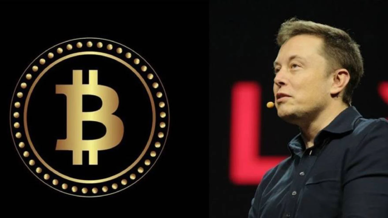 Elon Musk, polémico: por qué aseguró que "el Bitcoin es casi tan basura como el dinero fiat"