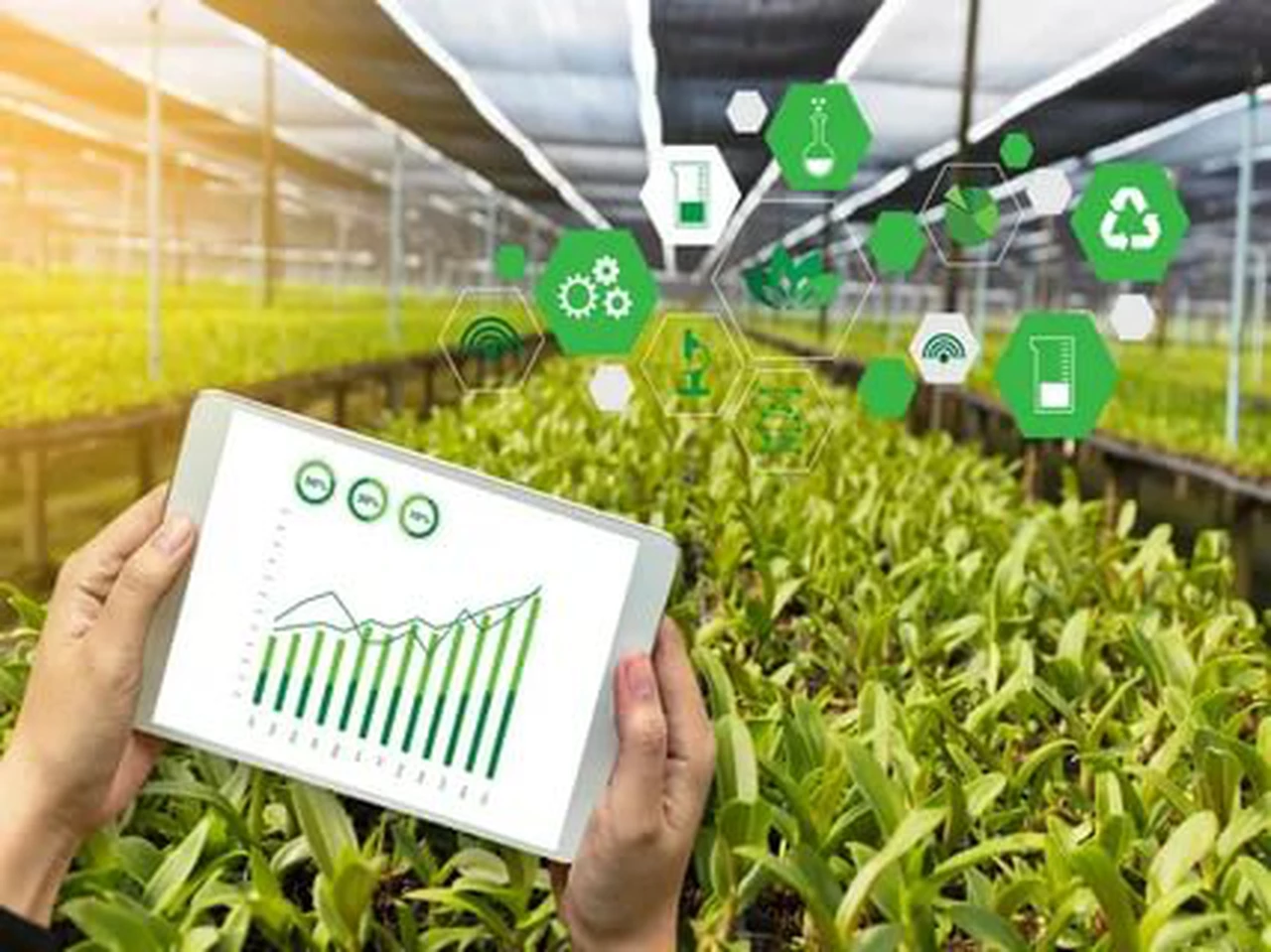 Capital venture con foco en la agricultura convoca a startups agritech y foodtech: ¿cual es el motivo?