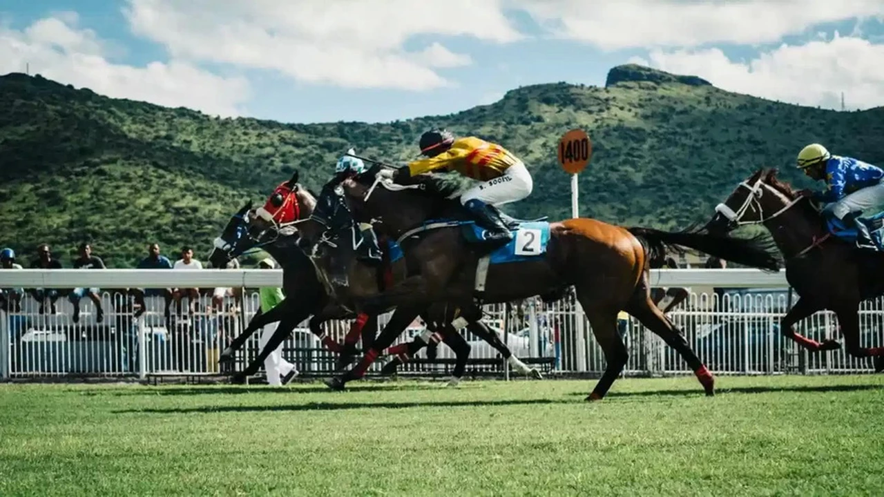 Apostar "a los pingos" digitales: los NFT se meten en las carreras de caballos virtuales