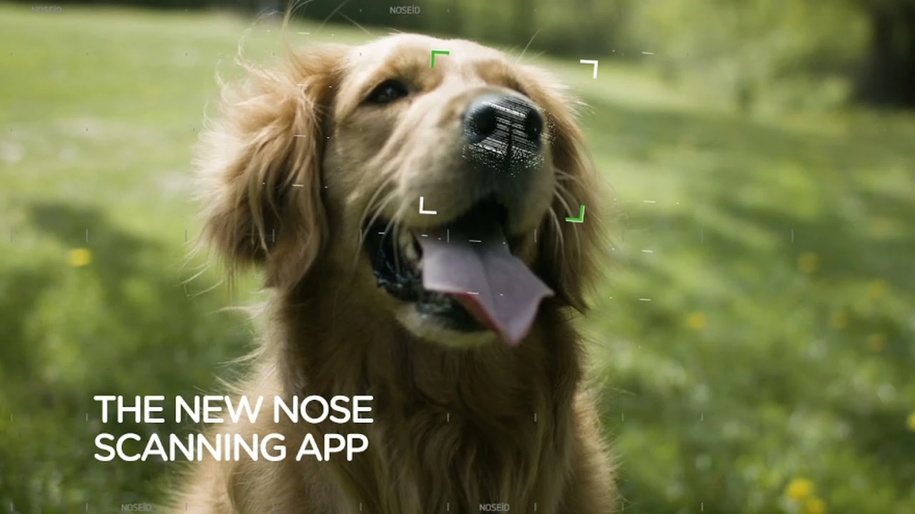 Conocé la app con la que no vas a perder más a tu perro