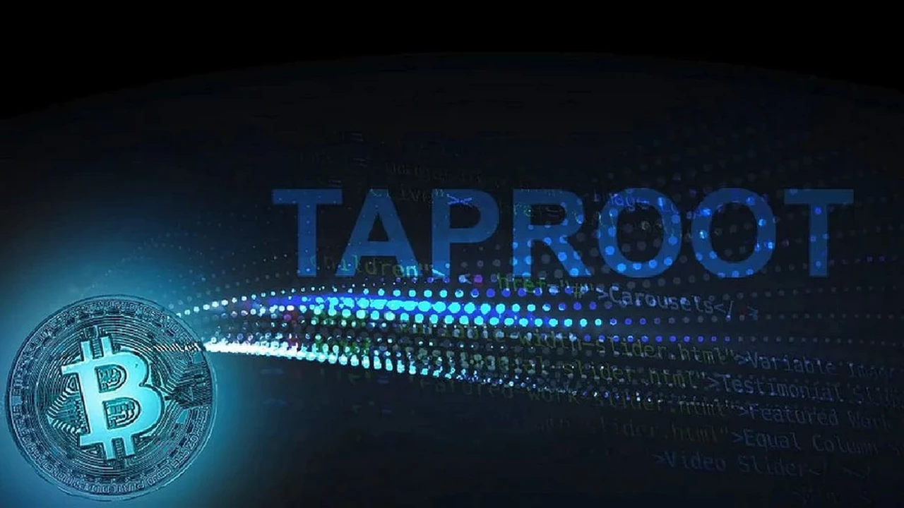 Este año se viene "Taproot", la actualización de bitcoin: qué cambios traerá