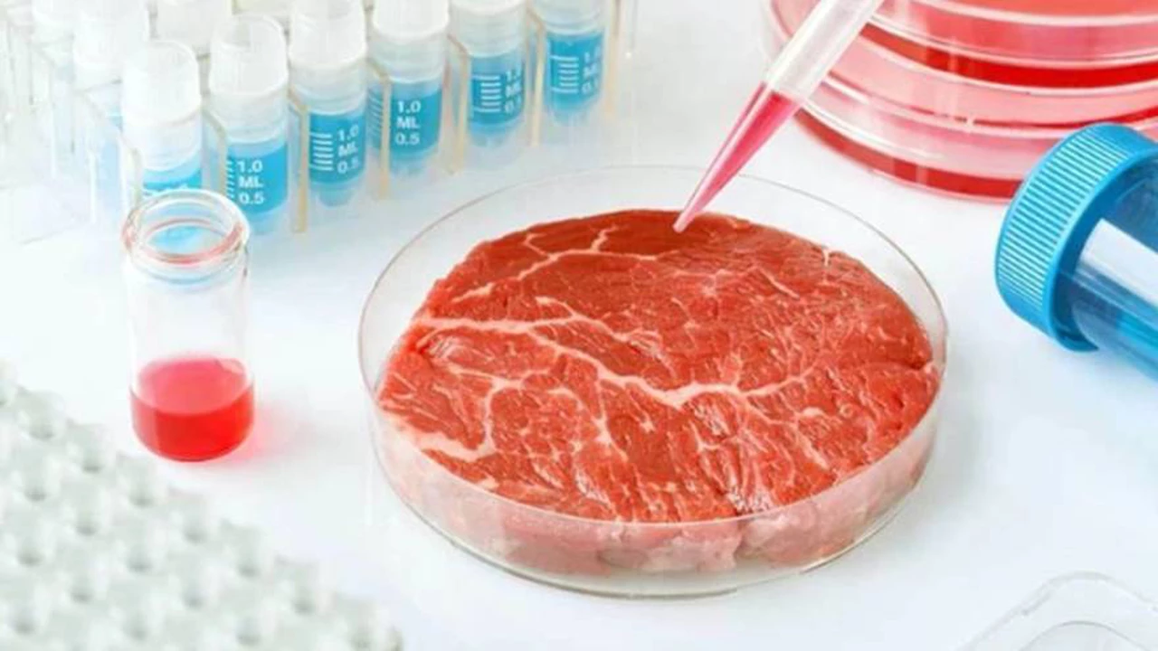 Carne de laboratorio: gigante de la alimentación planea ingresar a este millonario mercado