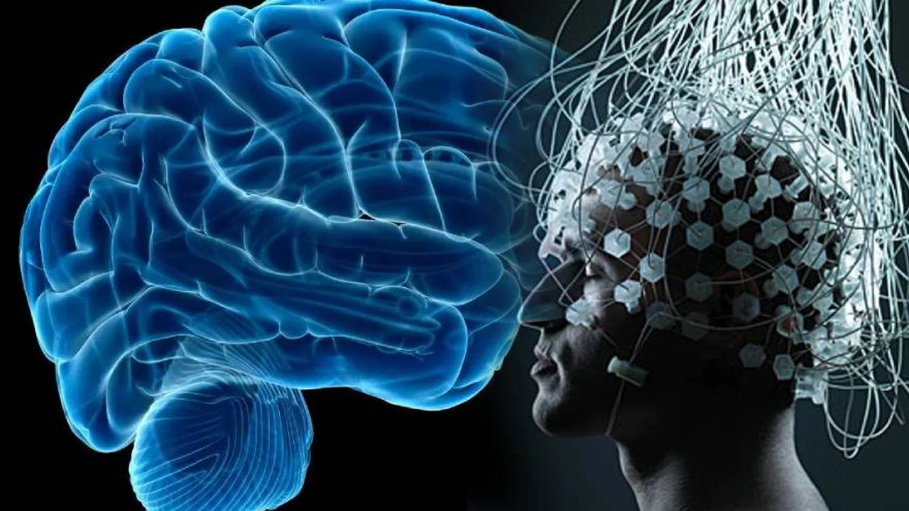 Gran paso para la ciencia: un hombre con parálisis cerebral logra "hablar" a través de una computadora