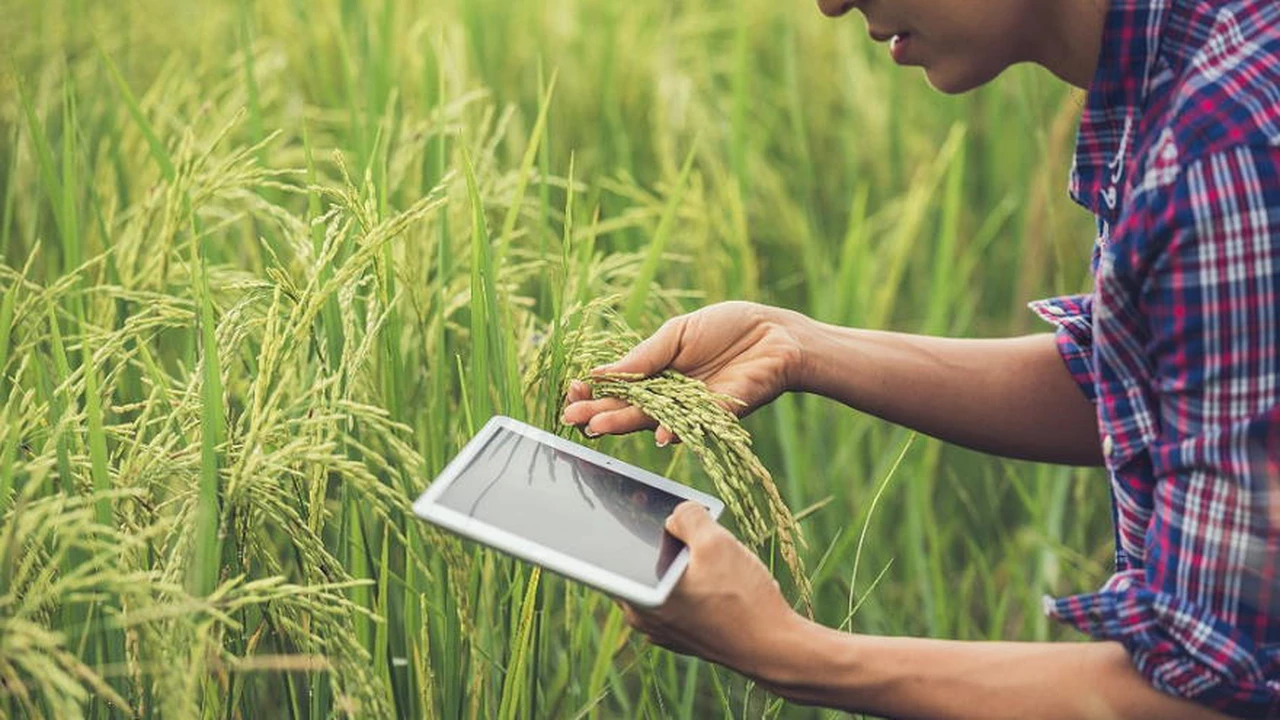 Boom agtech en Argentina: cómo funcionan los servicios por satélite para pequeños agricultores