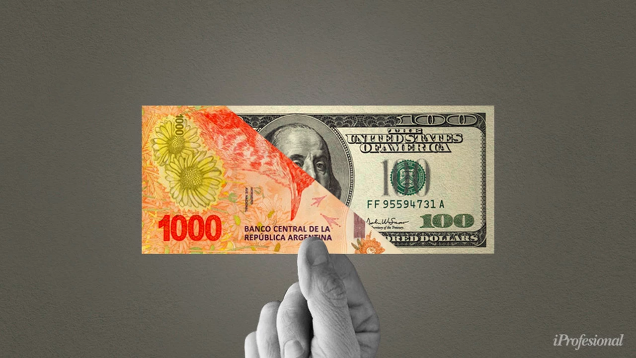 Argentinos, más pobres en dólares: el salario medido en esa moneda se desplomó 70% en cuatro años
