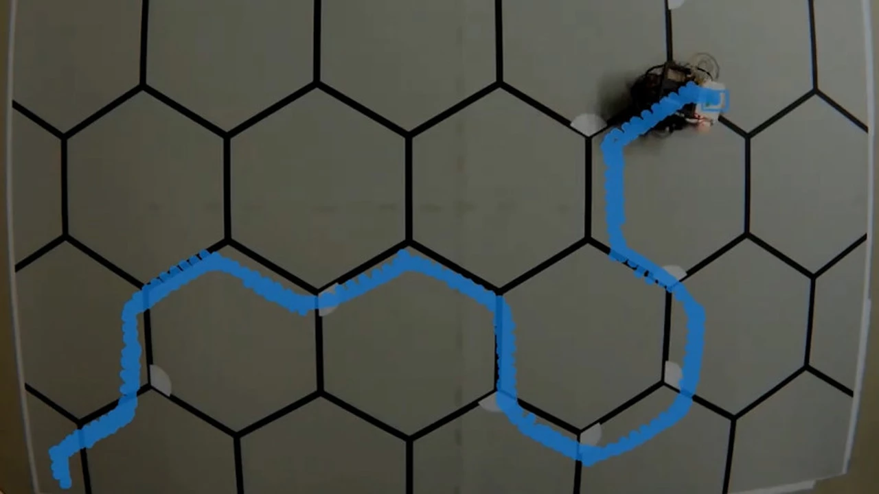 Sorprendente video: mirá cómo este robot aprende solo a salir de un laberinto