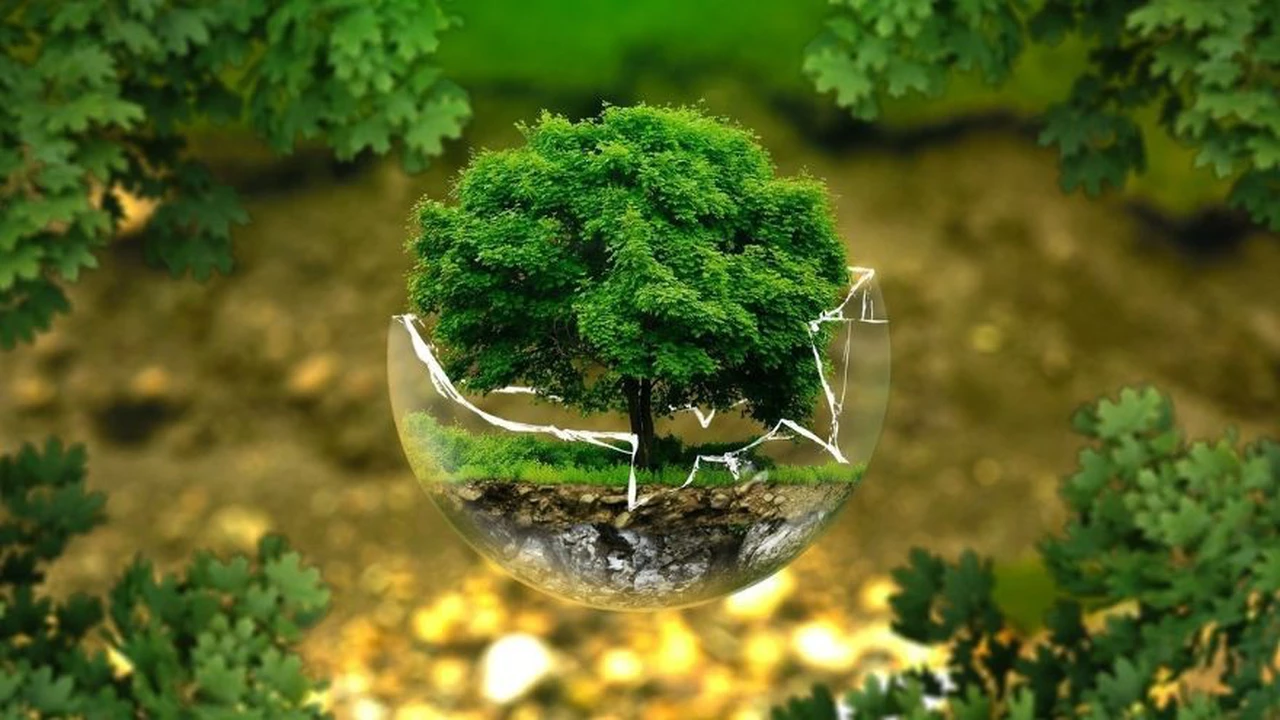 Qué son las "Ecofintechs" y cómo combinan las finanzas descentralizadas con la remediación ambiental