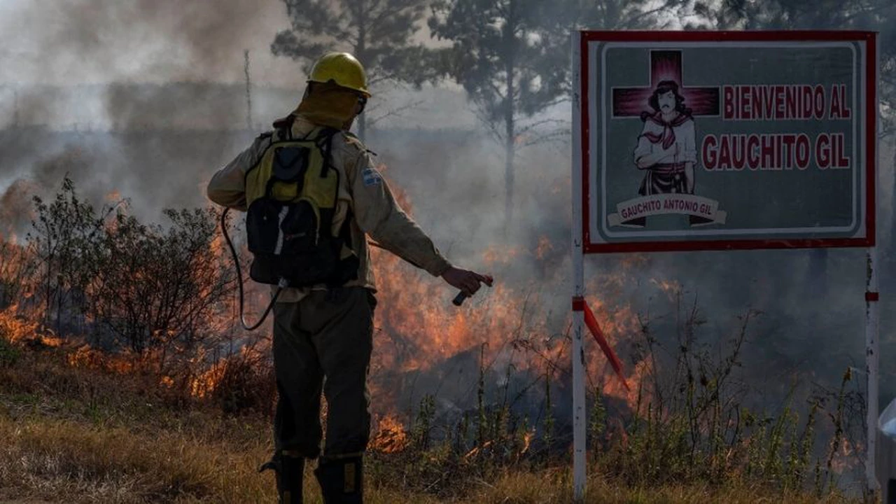 Galperin pone a Mercado Pago a disposición de los incendios en Corrientes: ¿cómo ayudar?