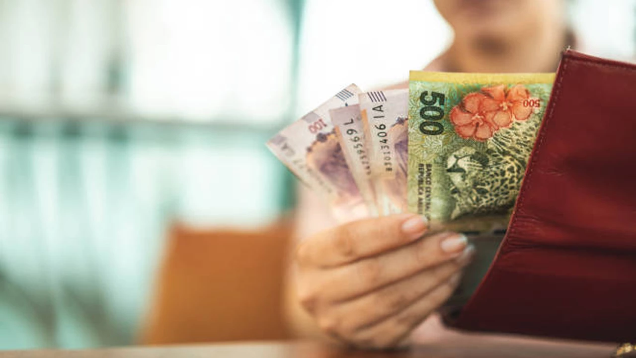 El BCRA pone en marcha los billetes de $10000 y $20000: cómo son y cuándo entran en circulación